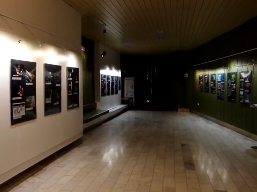 KINO VATRA VSETÍN