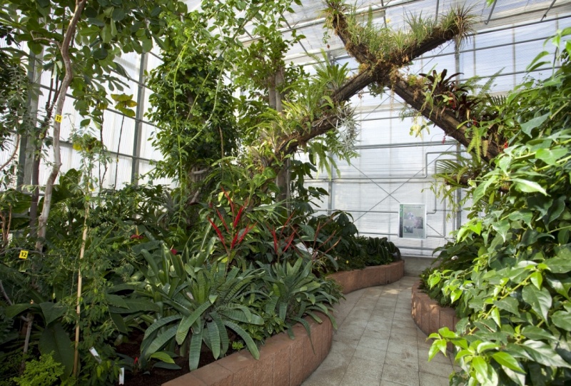 ARBORETUM  NOVÝ DVŮR