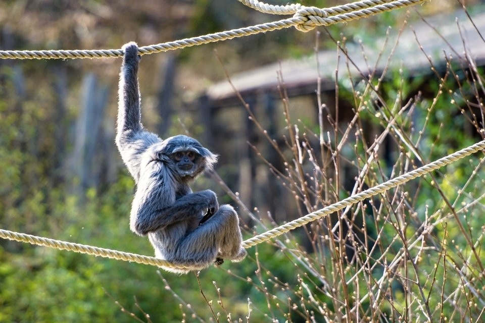 ZOO LEN U ZLNA