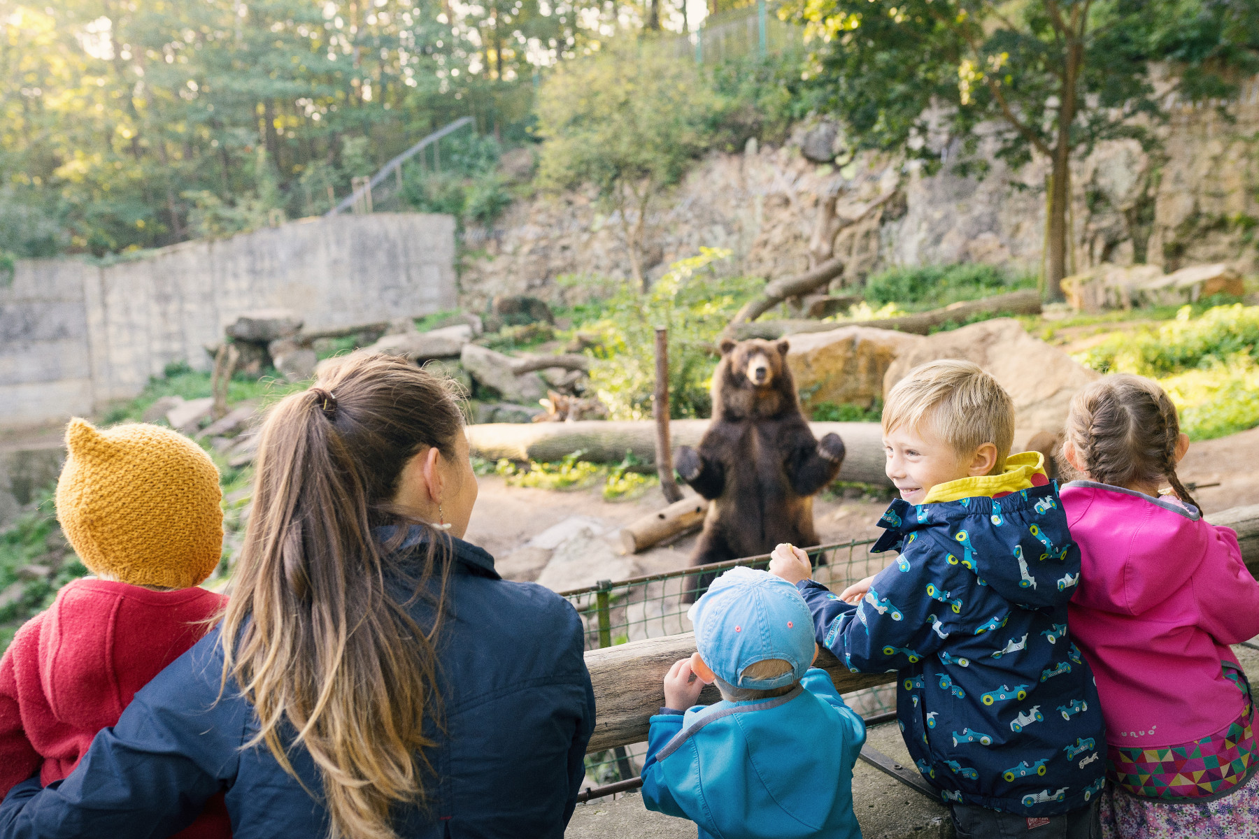 ZOO D���N