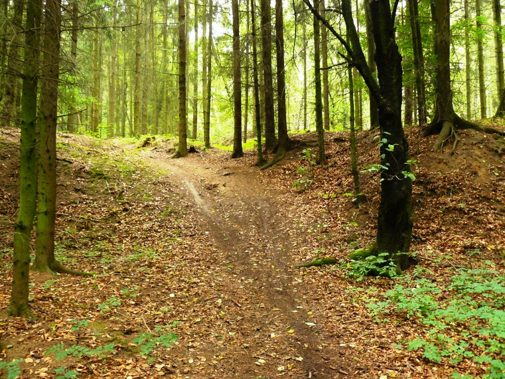 KAŇKOVSKÉ VRCHY