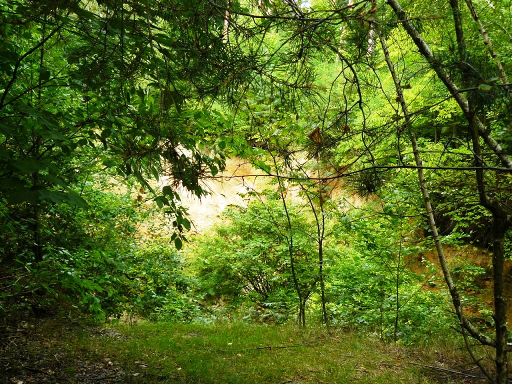 KAŇKOVSKÉ VRCHY