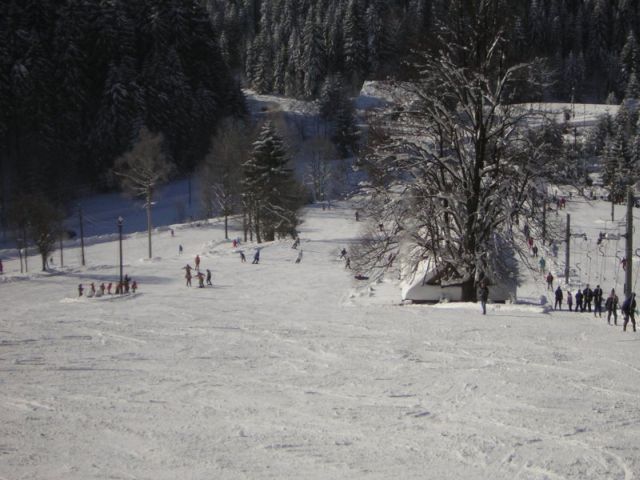 SKI AREL ZLATNK