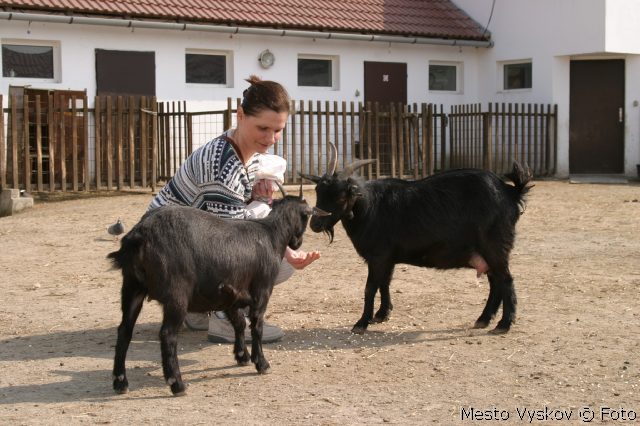 Zoopark Vykov