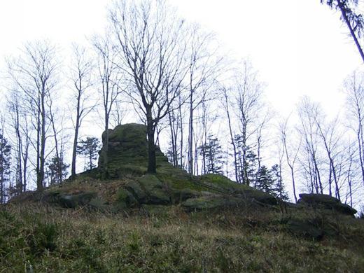 Přírodní rezervace KLENOV
