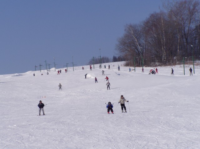 LYASK AREL MENDL-SKI BESTEK