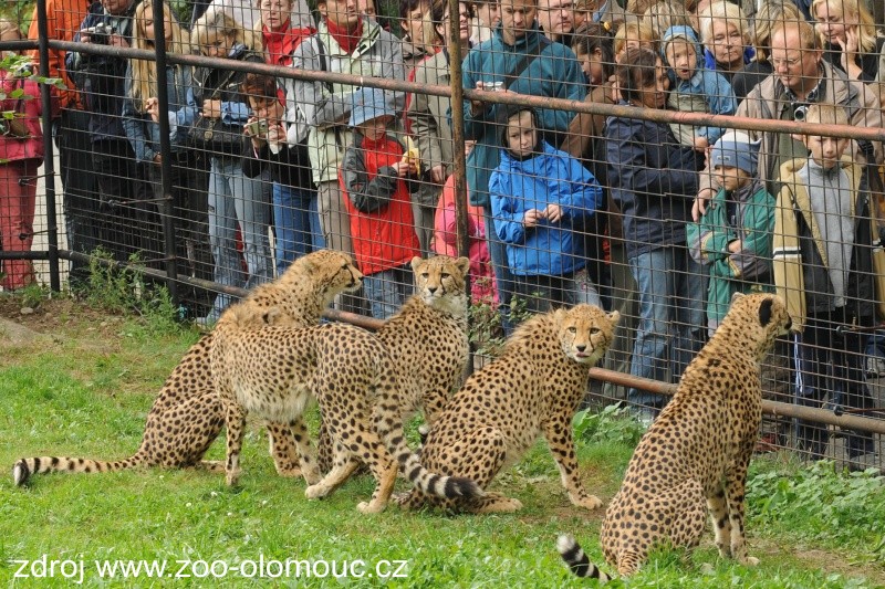  ZOO OLOMOUC