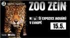 Nová expozice pro jaguáry